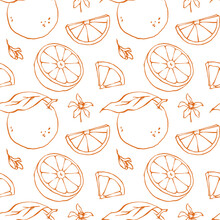 Hand Drawn Oranges Seamless Pattern With Flowers, Leaves And Cut Fruits Contour On White Background