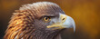 a proud eagle. banner. Generative AI