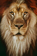 © Vieriu - Lion face king portrait animal , Wildlife , generative ai