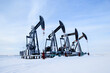 Winter in the oilfield cowered with white snow with black pumpjacks.