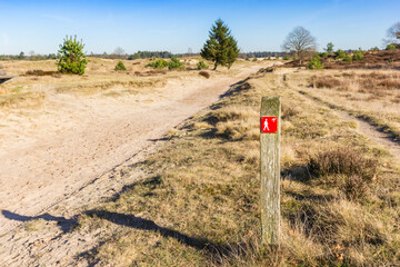 Wall Mural - Red sign pointing to the walking direction in Drents Friese Wold National Park, Netherlands