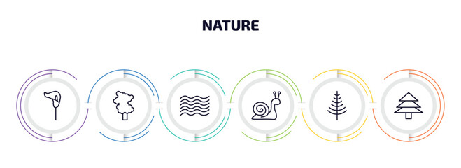 Poster - nature infographic element with outline icons and 6 step or option. nature icons such as lily, sassafras tree, waves, snail, larch, pine tree vector.