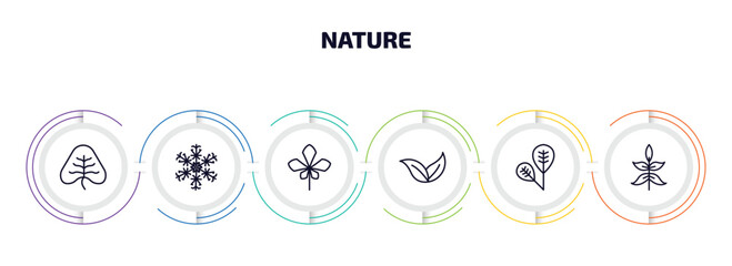 Poster - nature infographic element with outline icons and 6 step or option. nature icons such as cordate, big snowflake, chestnut leaf, apricot leaf leaf, obovate, sprig with five leaves vector.