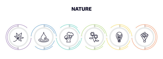Poster - nature infographic element with outline icons and 6 step or option. nature icons such as autumn leaves, raindrop, chestnut oak tree, pair of flowers, led bulb, flower bouquet vector.