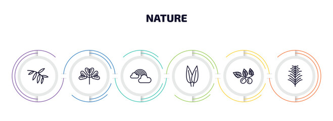 Poster - nature infographic element with outline icons and 6 step or option. nature icons such as black willow, trifoliate ternate, rainbow behind a cloud, lemon leaf, briar leaf, yew leaf vector.