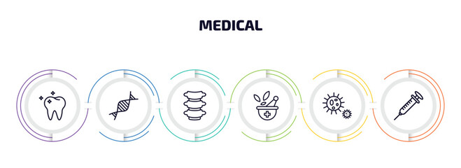Poster - medical infographic element with outline icons and 6 step or option. medical icons such as molar, medical chain of dna, vertebra, phary tool, bacteria, syringe with medicine vector.