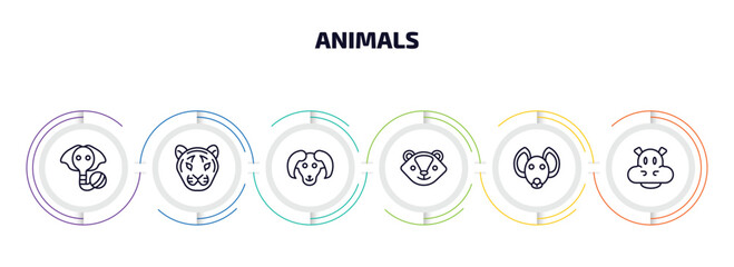 Poster - animals infographic element with outline icons and 6 step or option. animals icons such as elephant on a ball, tiger, male sheep, skunk, hyena, hippopotamus vector.