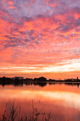 Wall Mural - sunset nearly fall from the sky on the horizon reflected into the water