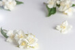 © Cavan Images - White background with fragrant white jasmine flowers