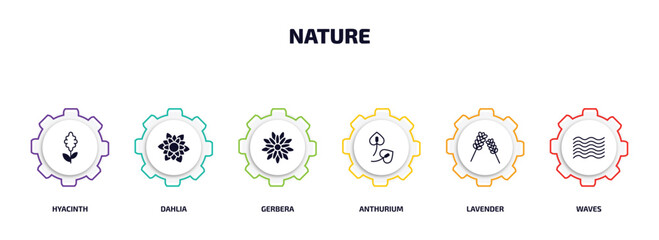 Poster - nature infographic element with filled icons and 6 step or option. nature icons such as hyacinth, dahlia, gerbera, anthurium, lavender, waves vector.