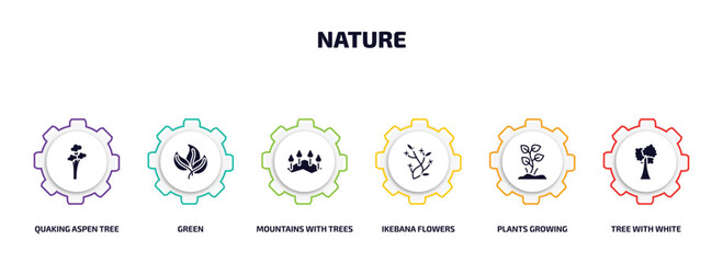 Poster - nature infographic element with filled icons and 6 step or option. nature icons such as quaking aspen tree, green, mountains with trees, ikebana flowers, plants growing, tree with white foliage