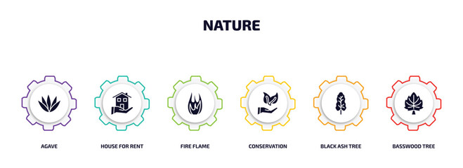 Poster - nature infographic element with filled icons and 6 step or option. nature icons such as agave, house for rent, fire flame, conservation, black ash tree, basswood tree vector.