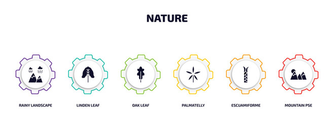Poster - nature infographic element with filled icons and 6 step or option. nature icons such as rainy landscape, linden leaf, oak leaf, palmatelly, escuamiforme, mountain pse vector.