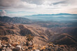 © Cavan Images - A desert view in Joshua Tree National Park, California