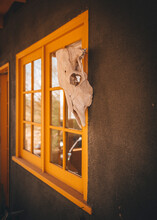An Animal Skull Is Hanging On A Yellow Window Of A House In A Desert