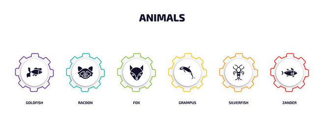 Poster - animals infographic element with filled icons and 6 step or option. animals icons such as goldfish, racoon, fox, grampus, silverfish, zander vector.