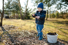 Cute Toddler Boy Playing With Pine Cones Outdoors On Sunny Spring Day. Child Exploring Nature.