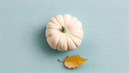 minimalist pastel-colored autumn/fall concept or greeting card with a single white pumpkin on a blue