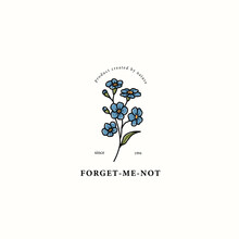 Line Art Forget-me-not Flower Illustration