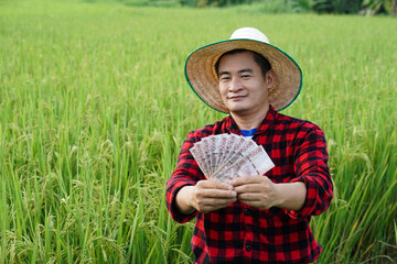 Asian farmer man is at paddy field, wears hat and red plaid shirt, hold Thai banknote money.  Concept : Farmer happy to get profit, income, agriculture supporting money.