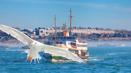 Wall Mural - Water trail foaming behind a passenger ferry boat in Bosphorus on the background famous historical Topkapi Palace - Istanbul, Turkey