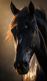 Fototapeta Konie - Portrait of a black horse during golden hour. Beautiful wildlife and family photos, wallpaper, poster created with help of generative ai. 