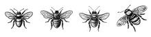 An illustrated set of 4 winged bees