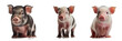 Baby pigs for project decoration Transparent background. generative AI