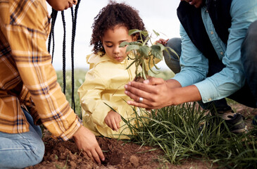 Poster - Farming family, child or planting in soil agriculture, sustainability learning or future growth planning in climate change. Man, woman or kid and green leaf plant in environment nature or countryside