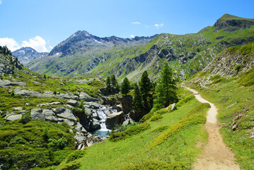 Wall Mural - gran paradiso national park. hiking trail in the valle di bardoney, aosta valley, italy. beautiful m
