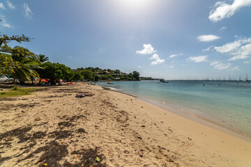 Wall Mural - White  sand beach in Sainte Anne, Martinique, France