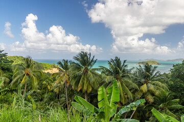 Wall Mural - View   across the bay in Martinique, France