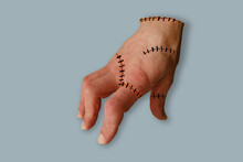 Closeup Of Male Right Hand Thing Of Adult Man Sewn From Different Pieces Of Leather In Gothic Style Dressed Wednesday Addams During Halloween, Scars With Stitches, Beloved Pet, Servant