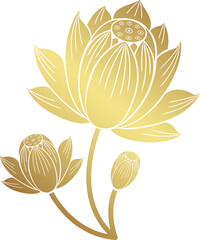 lotus art and flower style asian art luxury buddhism temple element and background pattern png file for decoration