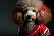 Fashionable Canine: Illustration of a dog wearing an American Football Jersey, metal necklace, Generative AI