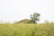 The old Danish burial mound