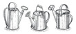 Retro watering can vector. Gardening tool or agricultural implement used in horticulture and plant cultivation