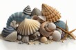 A small pile of seashells neatly stacked