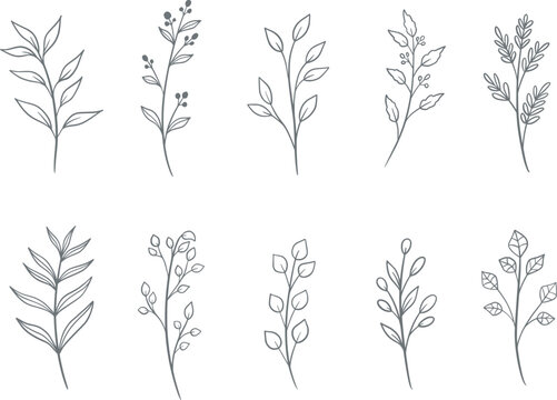 set of hand drawn doodle floral elements. vector graphic botanical elements