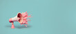 Pink Megaphone  on blue background. Banner. Space for text on the right