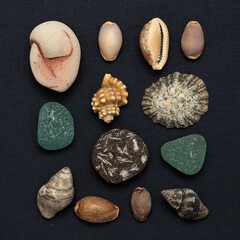 Pebbles and shells collected on beaches of Gran Canaria in La Aldea Municipality 