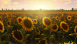 Sunflowers Screensaver AI