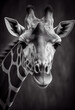 Schwarz weiß Portrait von einer Giraffe. Perfektes afrikanisches Wandbild - Generative Ai