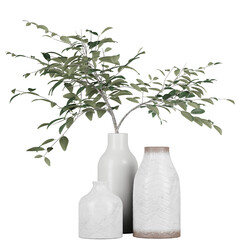 Canvas Print - decoration indoor plant in vase, isolated on white or transparent background, photorealistic 3d render