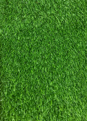 green grass background