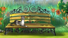 Gray Tabby Cat Lies On A Bench In The Garden 4K Animation