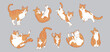 © fishyo - Cute Cartoon orange cat set