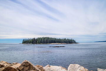 Wall Mural - Sundrew Trail in Acadia National Park, Maine