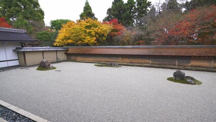 Wall Mural - 京都　龍安寺の石庭と紅葉