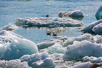 Sticker - au pays de la glace  en Scandinavie